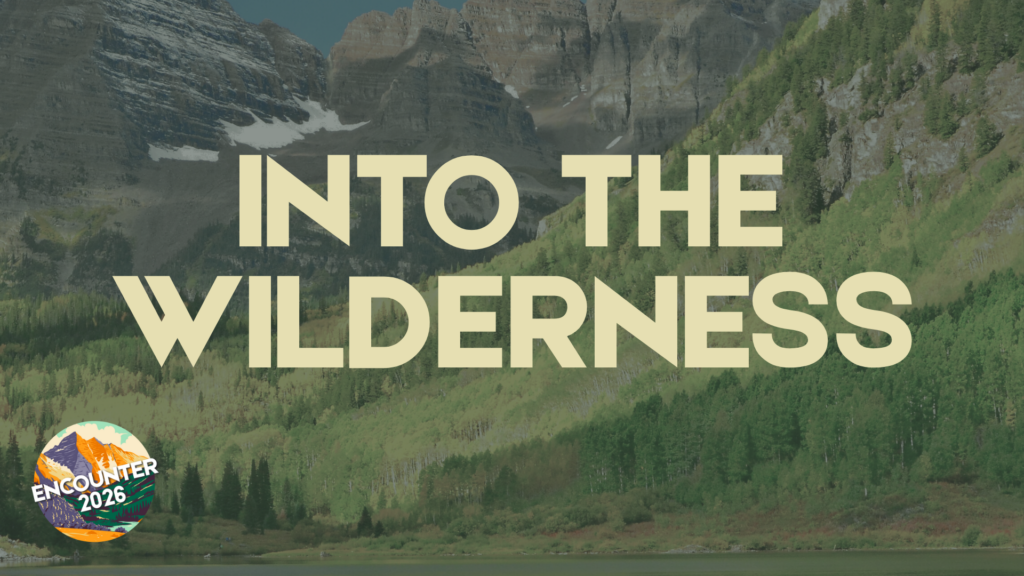 Led Into The Wilderness